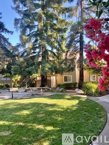 A garden with a bench and a tree.