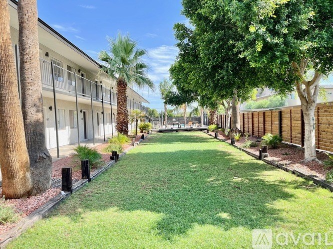A row of palm trees line a grassy pathway between two rows of buildings.