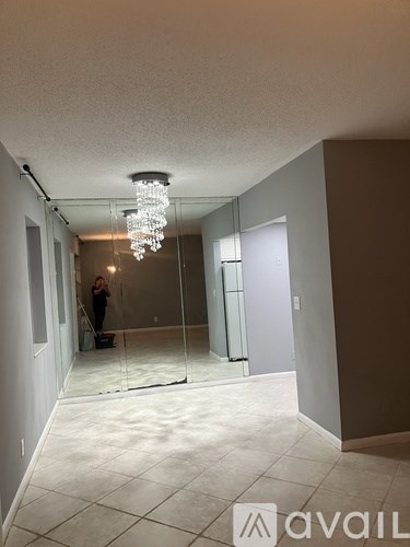 A room with a chandelier and a person with a vacuum cleaner.