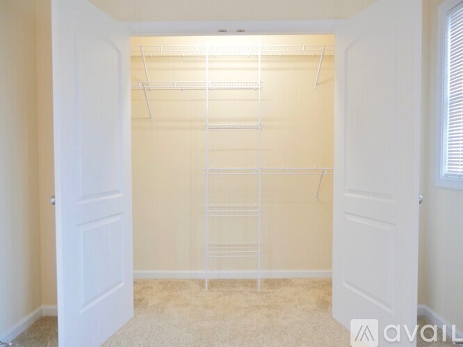 A white walk-in closet with a carpeted floor and white walls.