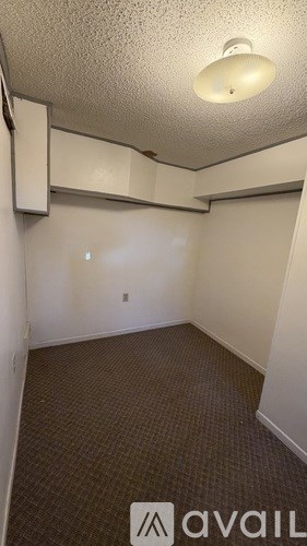 A room with a carpeted floor and a ceiling light.