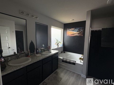 A bathroom with a large mirror, two sinks, and a bathtub.