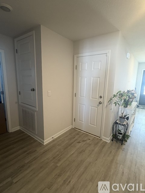 A room with two doors and a plant on a table.