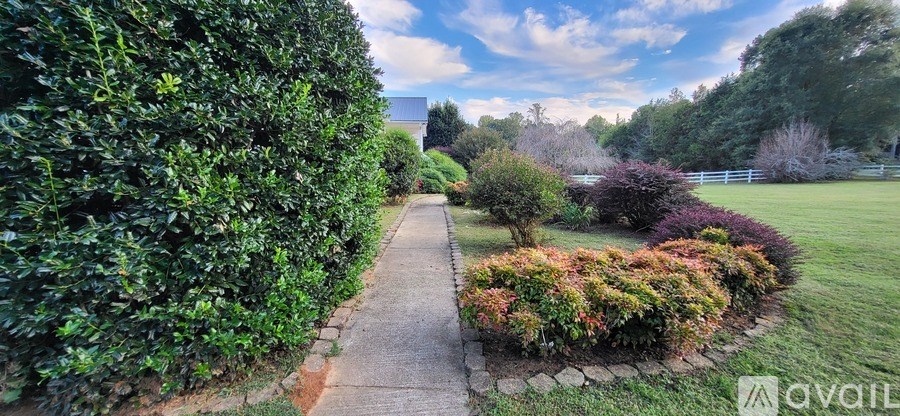 A garden with a hedge on the left and a variety of shrubs in the middle.