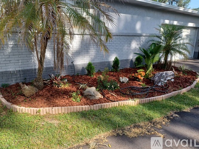 A garden with a palm tree and other plants in front of a white wall.