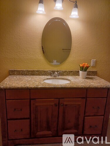 A bathroom with a sink, mirror, and wooden cabinets.