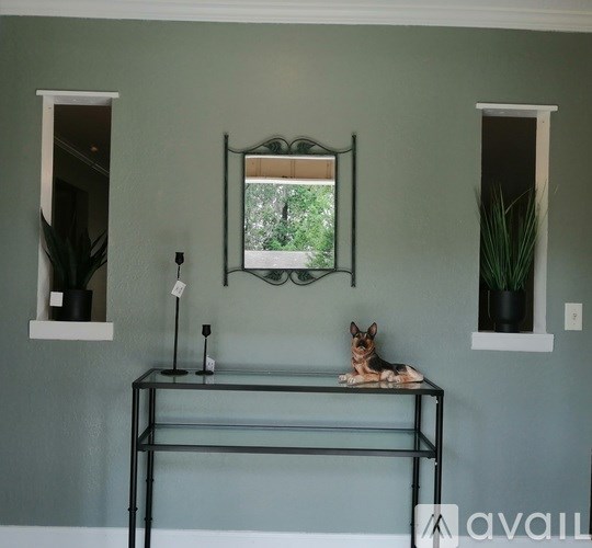 A dog is sitting on a table in a room with two windows.