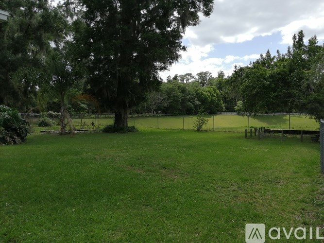 A grassy field with trees and a fence in the distance.