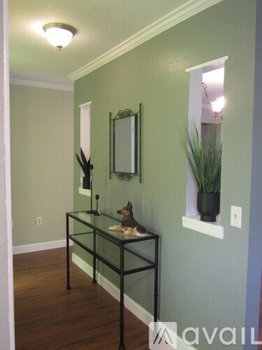 A dog is sitting on a table in a room.