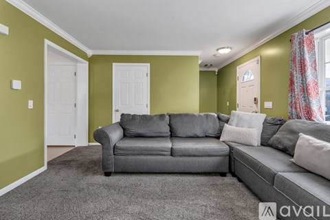 A living room with a grey couch and a grey rug.