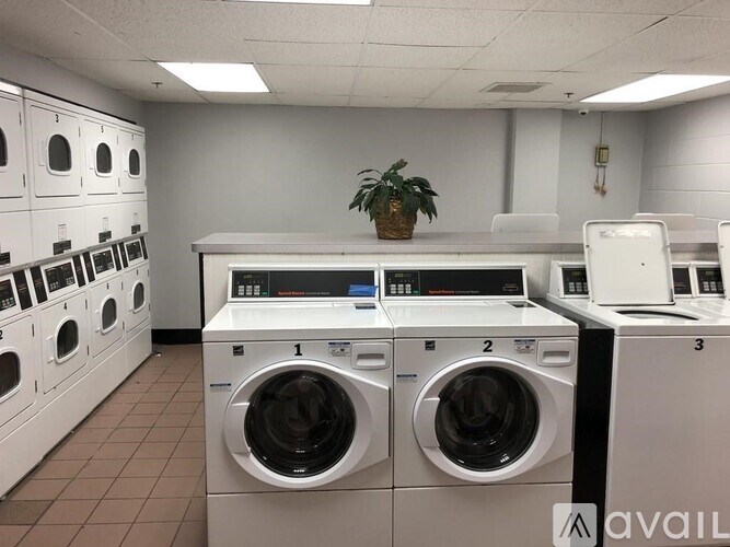 A laundry room with washing machines and a potted plant.
