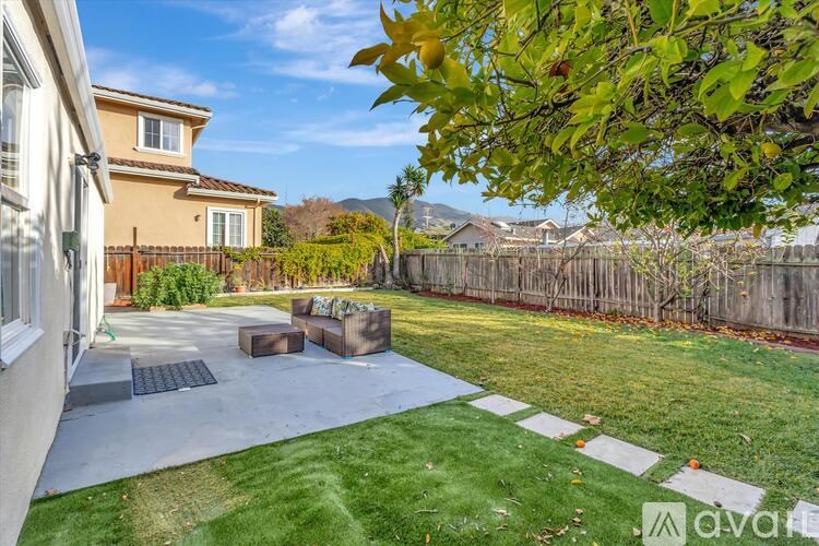 A backyard with a lawn, a bench, and a tree.