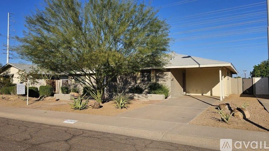 A house with a driveway and a tree in front of it.
