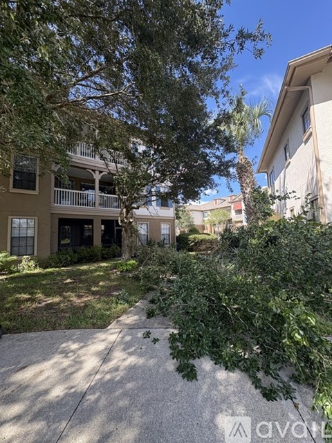 A tree branch is hanging over a concrete walkway.