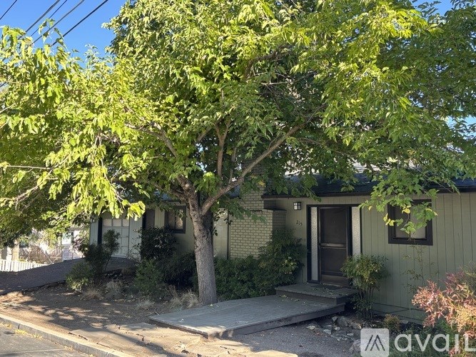 A tree with green leaves is in front of a house.