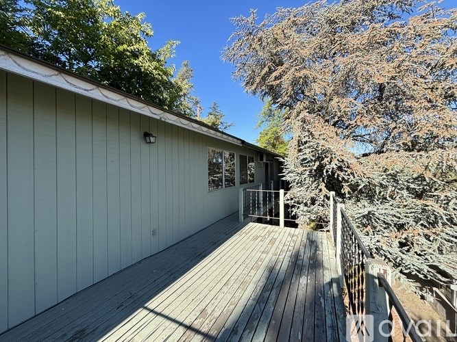 A deck with a railing and a tree in the background.