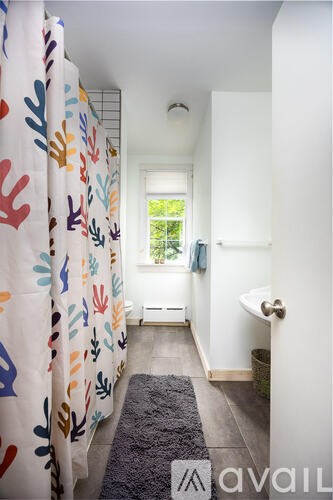 A bathroom with a shower curtain and a window.