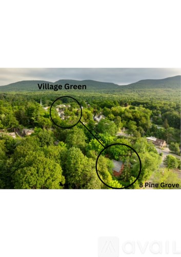 An aerial view of a lush green area with three specific locations circled and labeled as Village Green, 8 Pine Grove, and Avail.