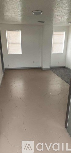 A room with two windows and a textured floor.