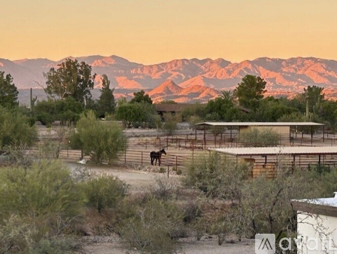 A horse is standing in a fenced area with mountains in the background.