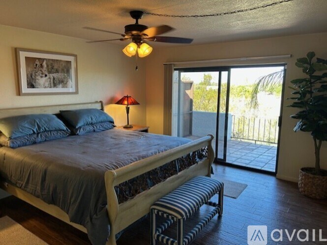 A bedroom with a bed, a ceiling fan, and a sliding glass door leading to a patio.