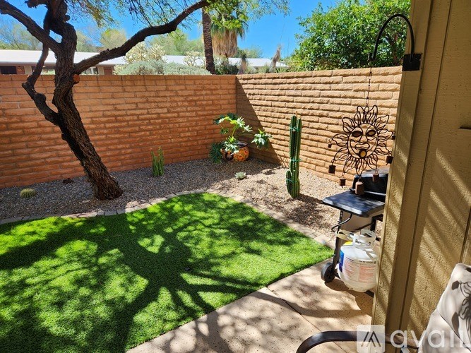 A small backyard with a tree, a cactus, and a small table.