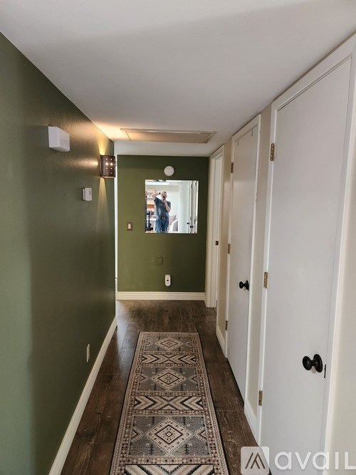 A hallway with a rug and white doors.