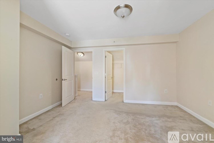 A bright, empty room with two doors and a carpeted floor.