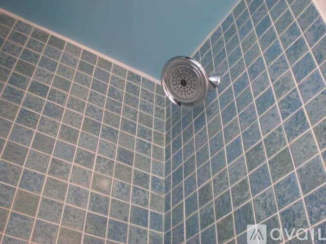 A shower head mounted on a blue tiled wall.