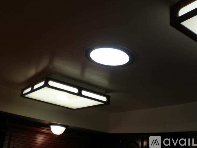 A ceiling light with a white glowing bulb.