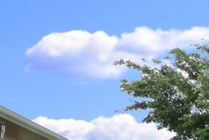 Apartments For Rent In Houston Tx Rentcaf 233