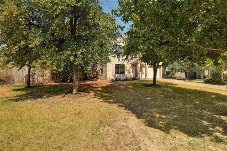 A tree in a yard with a house in the background.