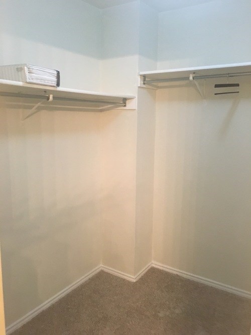 A white wall with a shelf and a carpeted floor.