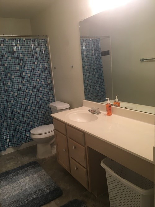 A bathroom with a toilet, sink, and shower curtain.
