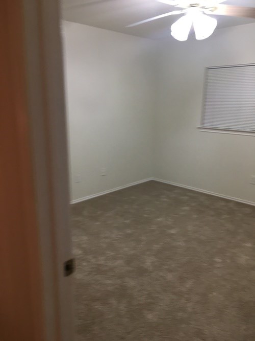 A room with a ceiling fan and carpeted floor.