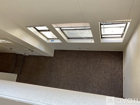A room with a brown carpet and three skylights.