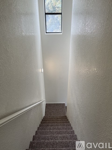 A stairway with a carpeted runner and a window at the top.