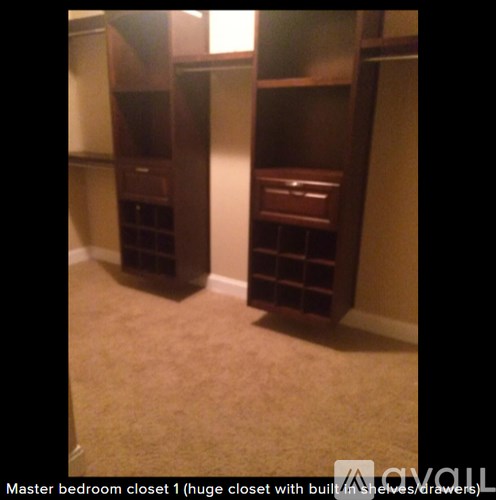 Two tall brown closet doors with drawers.