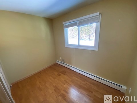 A room with a window and a radiator on the wall.