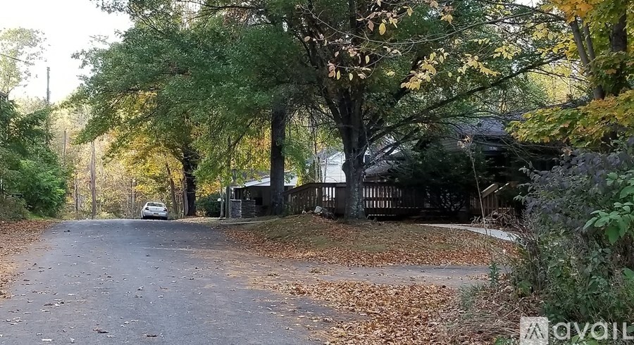 A car is parked on the side of a road with trees and leaves on the ground.