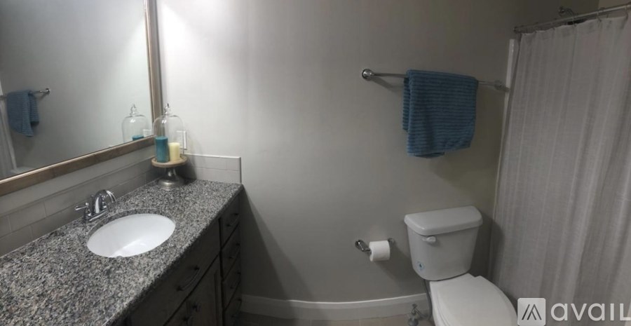 A bathroom with a sink, toilet, and a shower curtain.