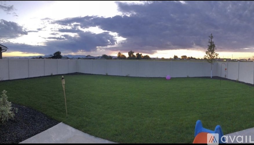 A backyard with a white fence and a small tree.
