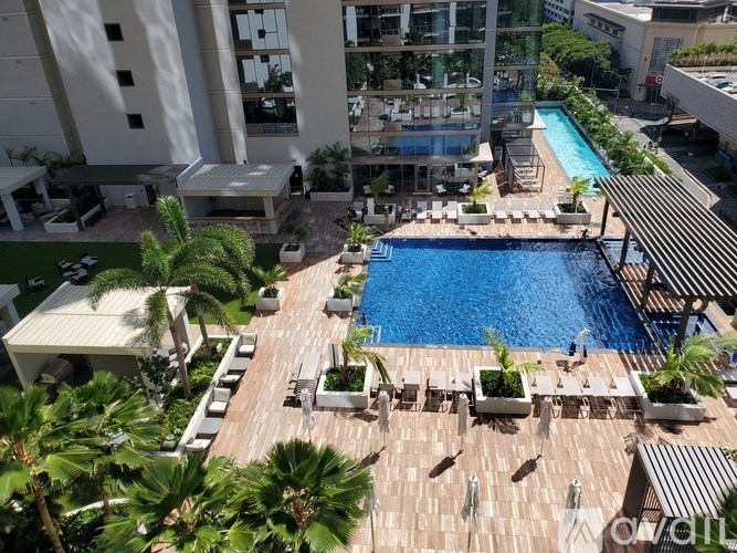 A pool surrounded by palm trees and lounge chairs.