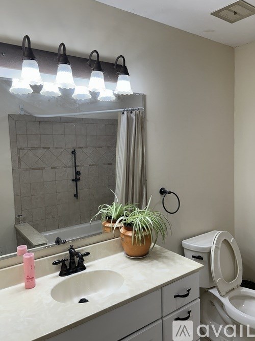 A bathroom with a sink, mirror, toilet and a potted plant.