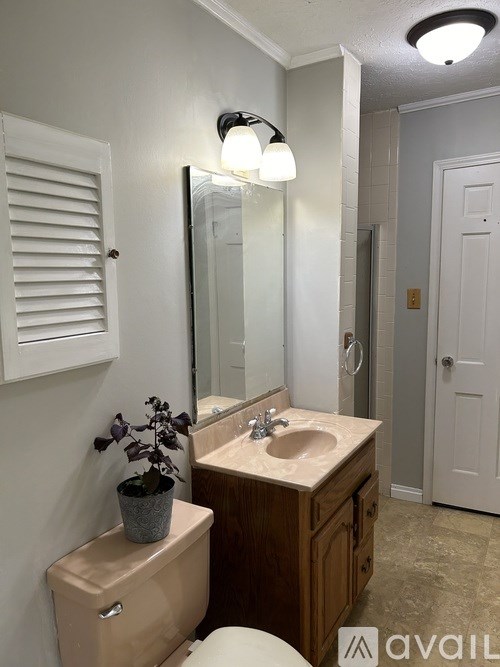A bathroom with a toilet, sink, mirror, and a plant.
