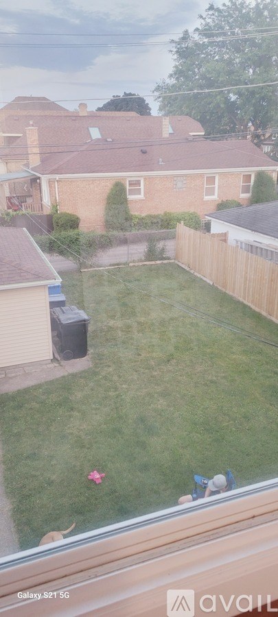 A dog is sitting on the grass in a backyard.