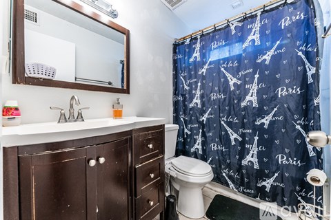 A bathroom with a shower curtain featuring the Eiffel Tower.
