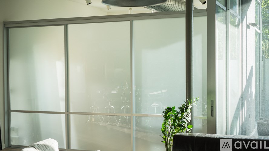 A glass wall with a plant in front of it.