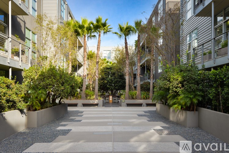 A courtyard with a concrete floor and palm trees in the background.