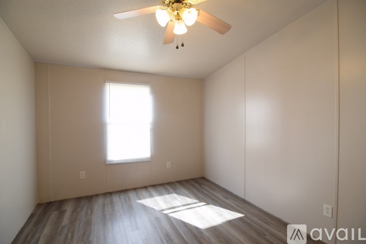 A room with a ceiling fan and a window letting in sunlight.